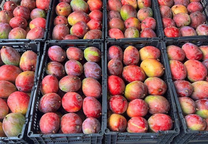 Organic farms avoid toxic inputs, improve soil health, grow clean, sustainable food that supports nature.