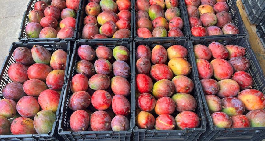 Organic farms avoid toxic inputs, improve soil health, grow clean, sustainable food that supports nature.