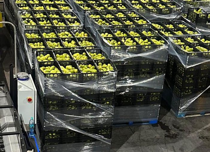 Organic farms avoid toxic inputs, improve soil health, grow clean, sustainable food that supports nature.