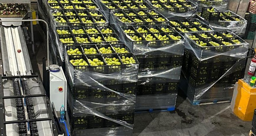 Organic farms avoid toxic inputs, improve soil health, grow clean, sustainable food that supports nature.