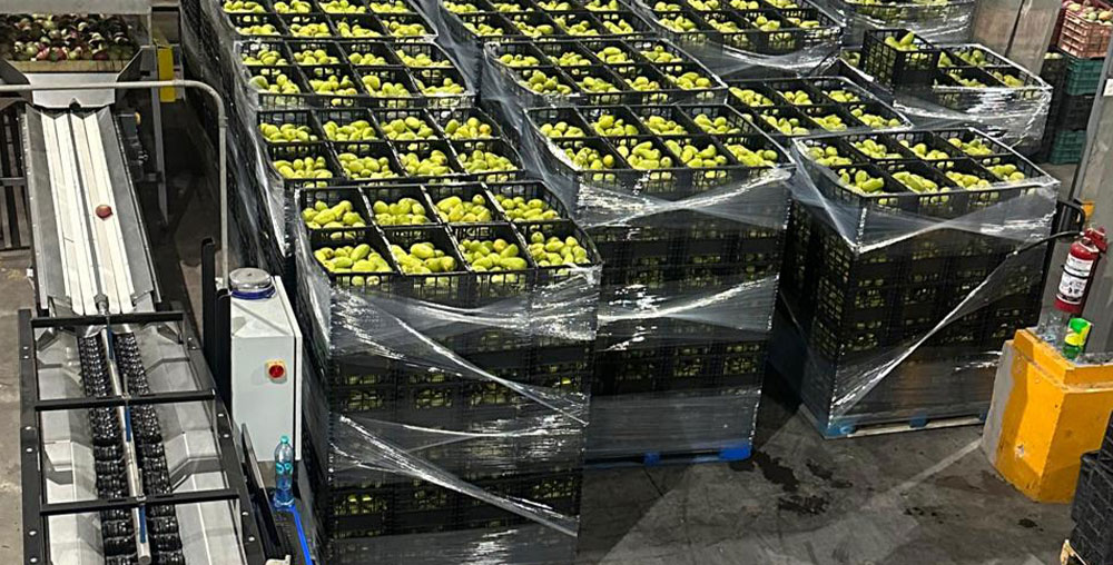 Organic farms avoid toxic inputs, improve soil health, grow clean, sustainable food that supports nature.