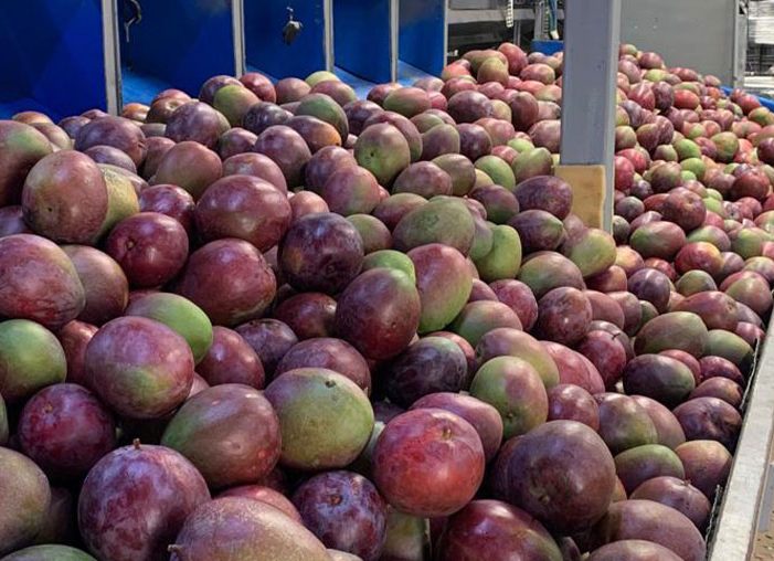 Organic farms avoid toxic inputs, improve soil health, grow clean, sustainable food that supports nature.