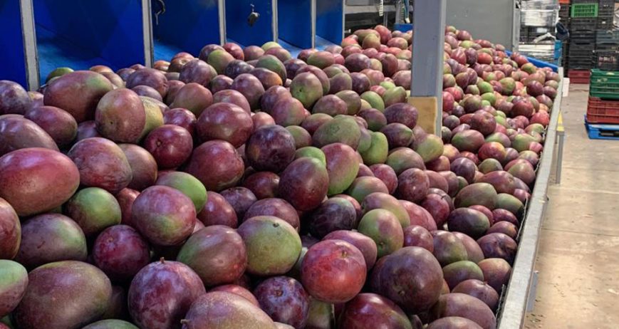 Organic farms avoid toxic inputs, improve soil health, grow clean, sustainable food that supports nature.