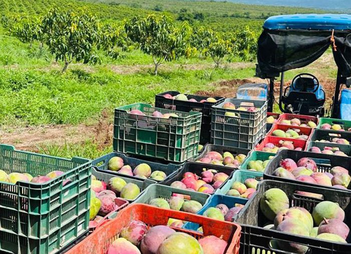 Organic farms avoid toxic inputs, improve soil health, grow clean, sustainable food that supports nature.