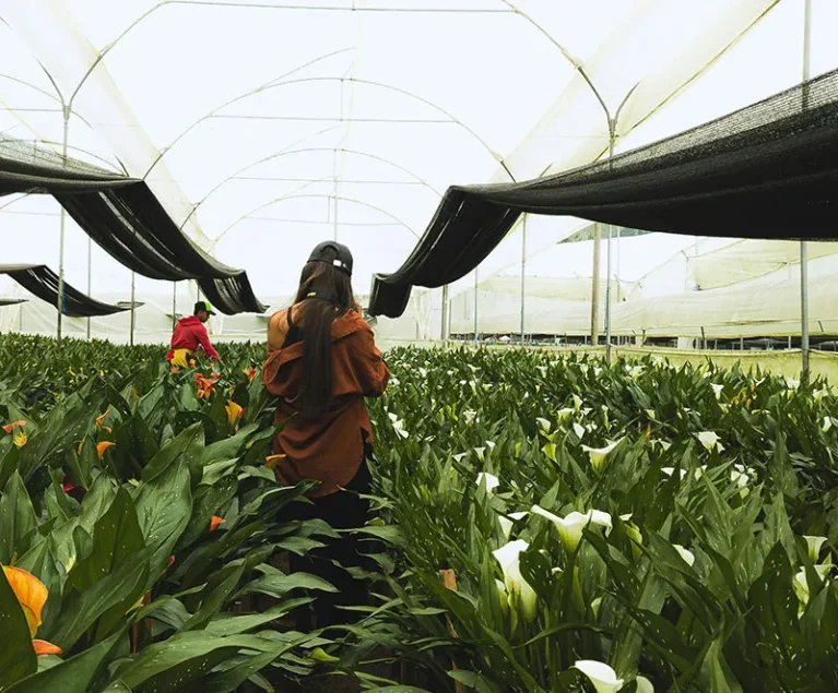 There are many variations of passages of Lorem Ipsum available, but majority have suffered teration in some form, by injected humour, or randomised words which don't look even slight believable. If you are going to use a passage of Lorem Ipsum.