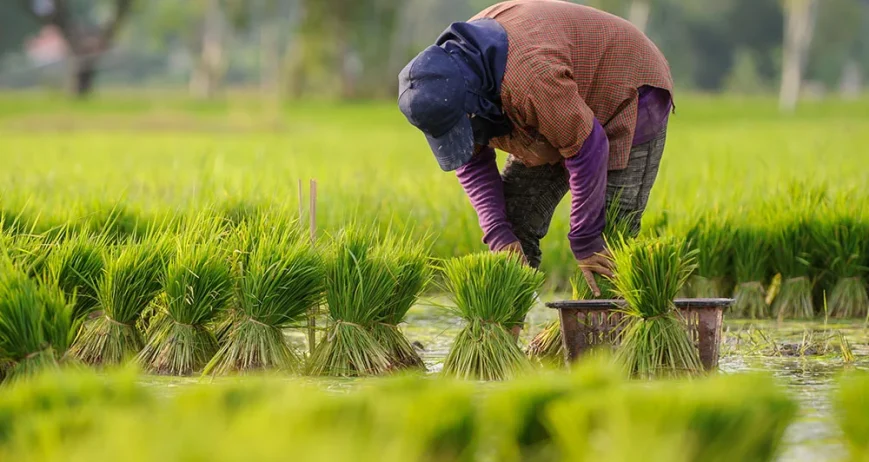 Accelerate innovation with world-class tech teams We’ll match you